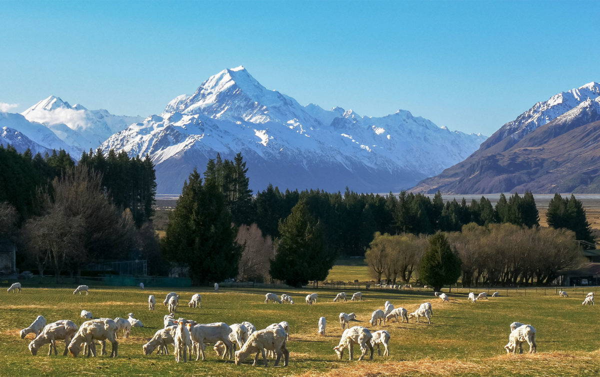 New Zealand: Middle North Island